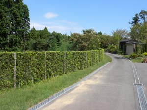 DSCN2604