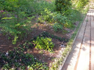 DSCN2301