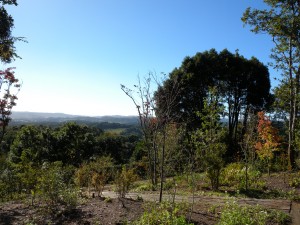 DSCN2734