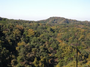 山