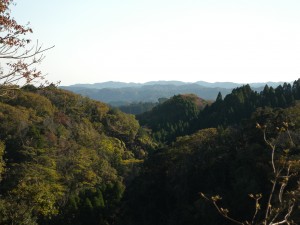 山 (1)