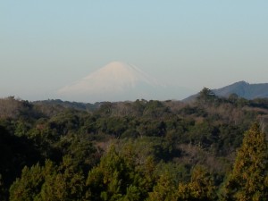 DSCN3060