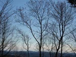 DSCN3072