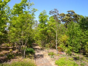 DSCN3552