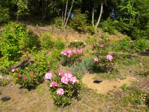 DSCN3568