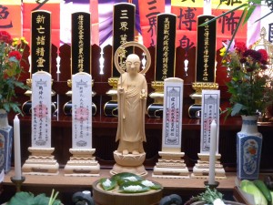 DSCN3803