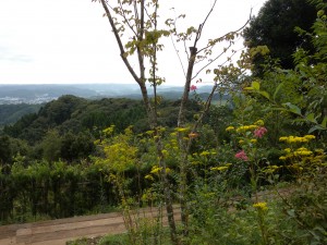 DSCN3818