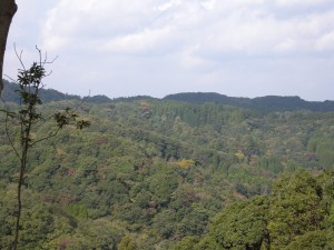 DSCN3980