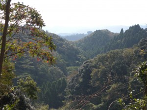 DSCN3982