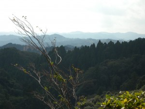 DSCN3987