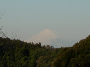 DSCN0355