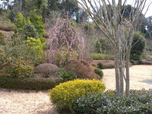 DSCN4277