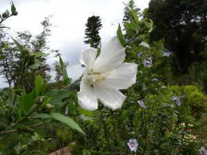 DSCN4685