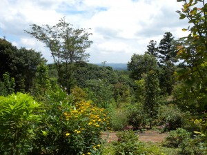 DSCN4743