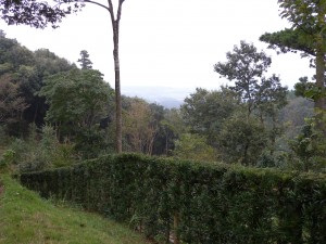 DSCN4944