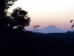 DSCN5079