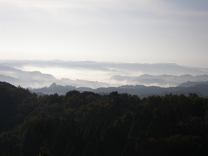 DSCN5119