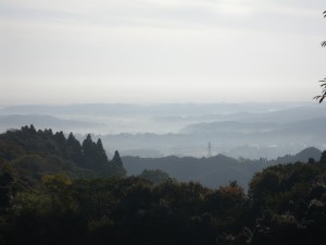 DSCN5125