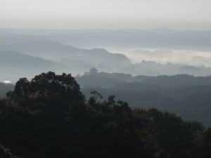 DSCN5128