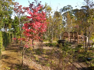 DSCN5152