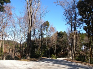 DSCN5224