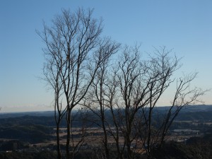DSCN5371