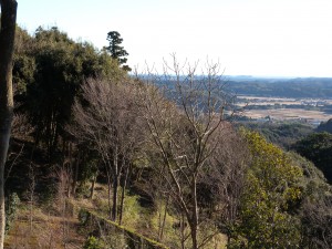 DSCN5385