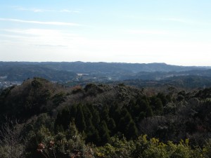 DSCN5232