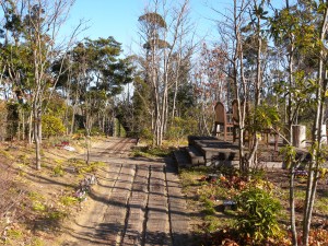DSCN5544