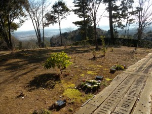 DSCN5546