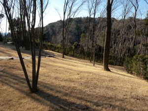 DSCN5552