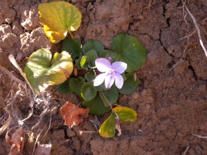 DSCN5577