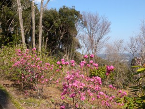 DSCN5844