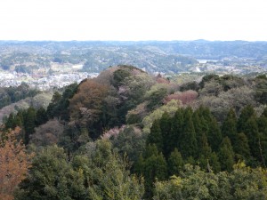 DSCN5930