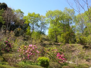 DSCN5964