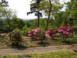 DSCN6116