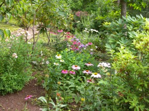 DSCN6314