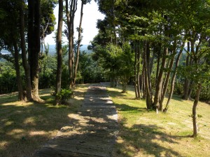 DSCN6375
