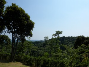 DSCN6378