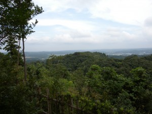 DSCN6574