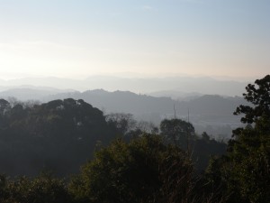 DSCN6846