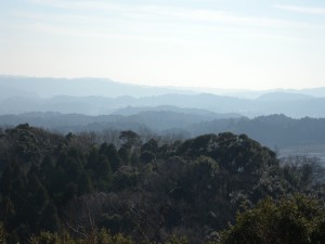 DSCN6857