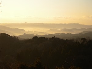 DSCN6897