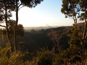 DSCN6905