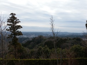 DSCN6940