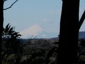 DSCN6963