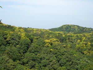 DSCN7221