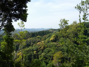 DSCN7225