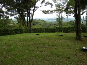 DSCN7478