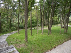 DSCN7480